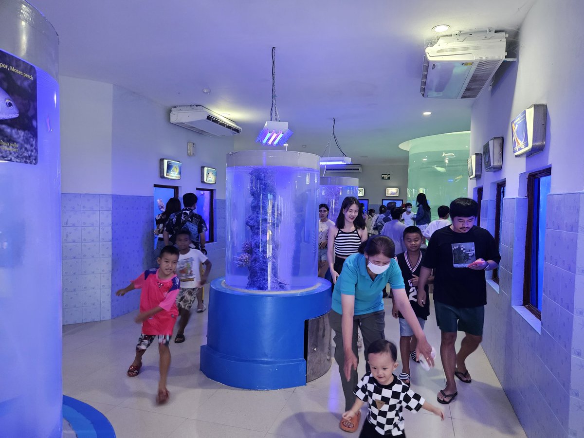 kafaak's tweet image. #สมุทรสาครอควาเรียม ไม่ใหญ่นะ เดินแป๊บเดียวจบ แต่ก็มีครบเครื่องนะ ยันอุโมงค์ปลา ที่แม้จะเล็กและไม่ยาว แต่ก็มี 🤣🤣 เก๋ๆ ปลาก็มีประมาณนึง ไม่ได้หวือหวา #triptwt