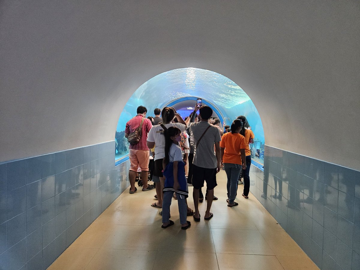 kafaak's tweet image. #สมุทรสาครอควาเรียม ไม่ใหญ่นะ เดินแป๊บเดียวจบ แต่ก็มีครบเครื่องนะ ยันอุโมงค์ปลา ที่แม้จะเล็กและไม่ยาว แต่ก็มี 🤣🤣 เก๋ๆ ปลาก็มีประมาณนึง ไม่ได้หวือหวา #triptwt