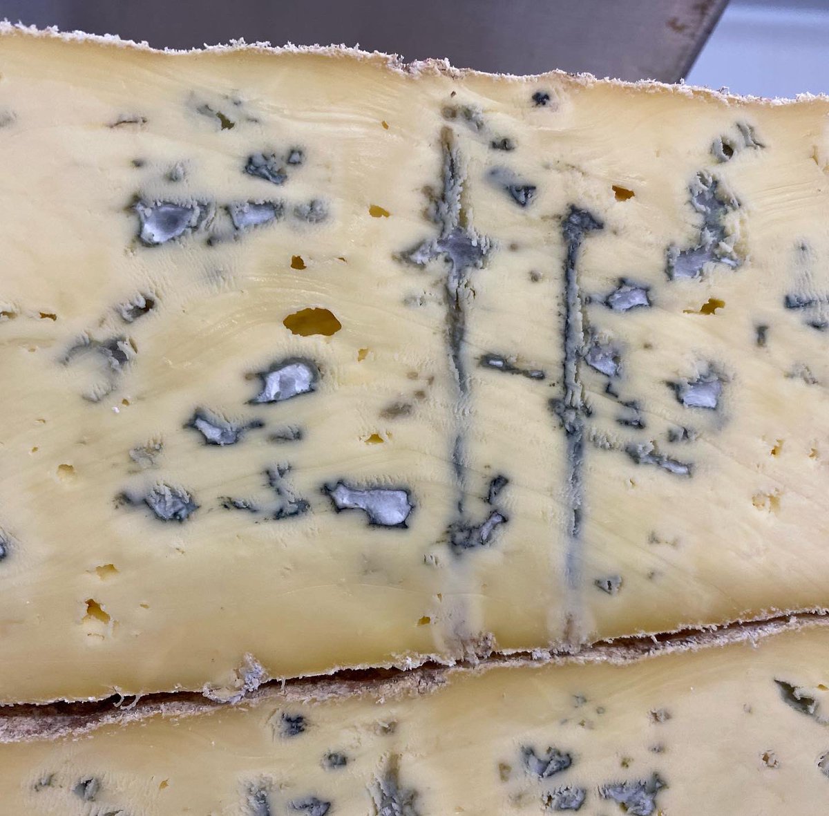 Cobblers Nibble tweet media