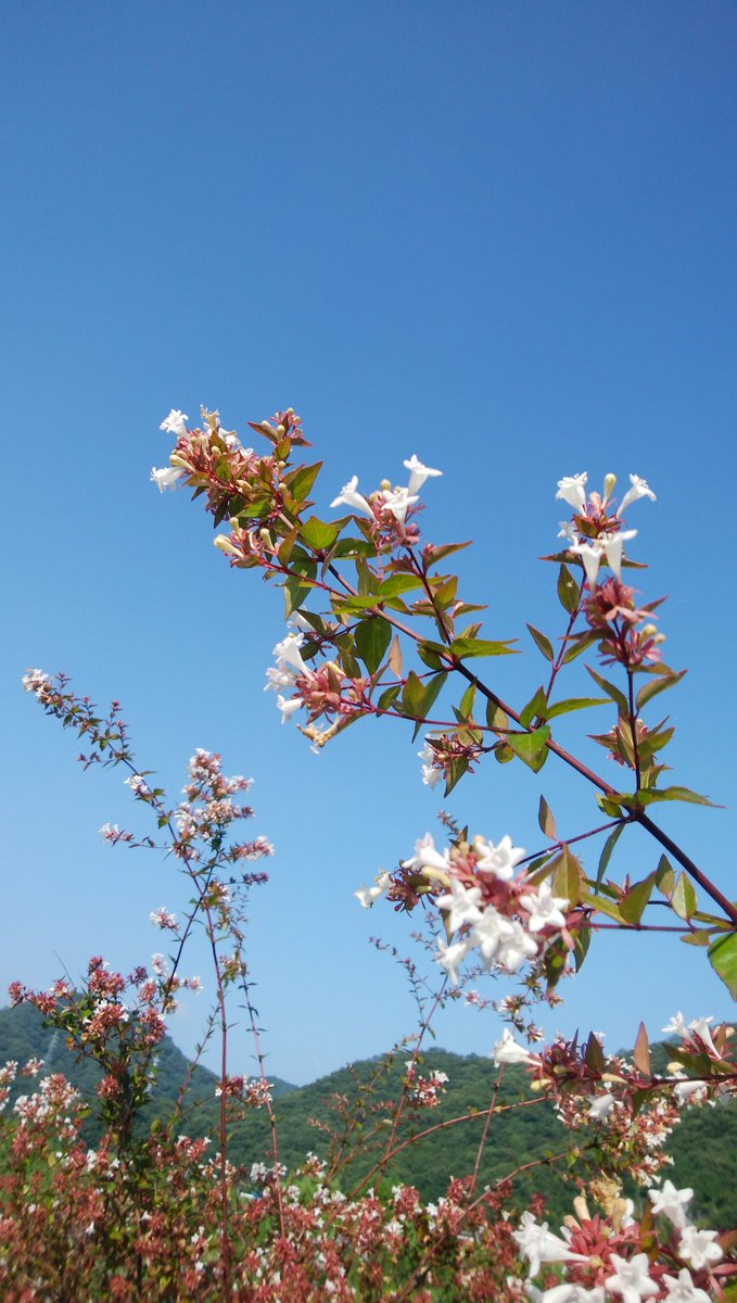 今日のテニスはよかった、何試合かしたが全勝調子がいい、思い当たるのは毎日短時間のトレーニング、構えて長時間する必要は無いのか？　確かに結果は出ている、しばらくこの短時間トレーニングでやってみよう、どうなるかな！

女性高額収入 
 taa1341.web.fc2.com/ad3.html