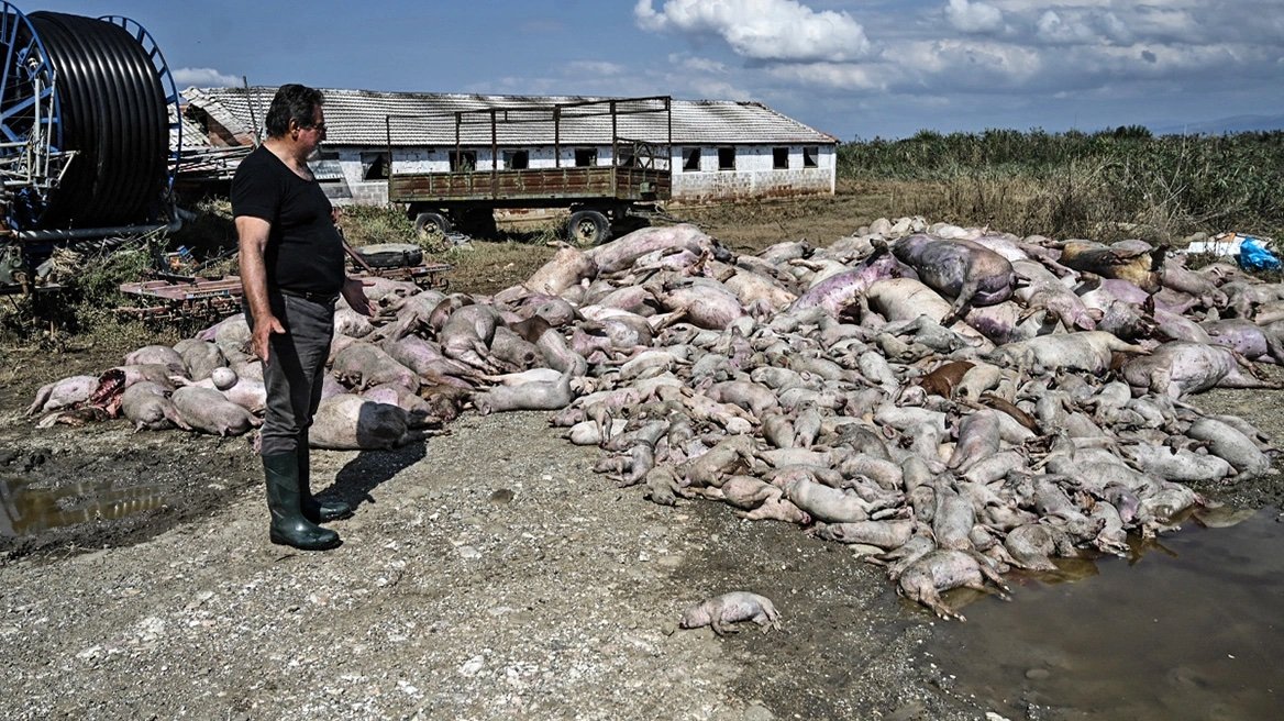 Parents For Future #EndFossilFuels - P4F Germany tweet media