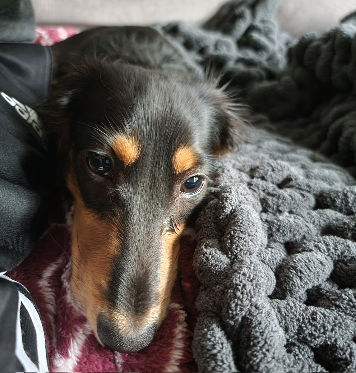 Austin Yost tweet media