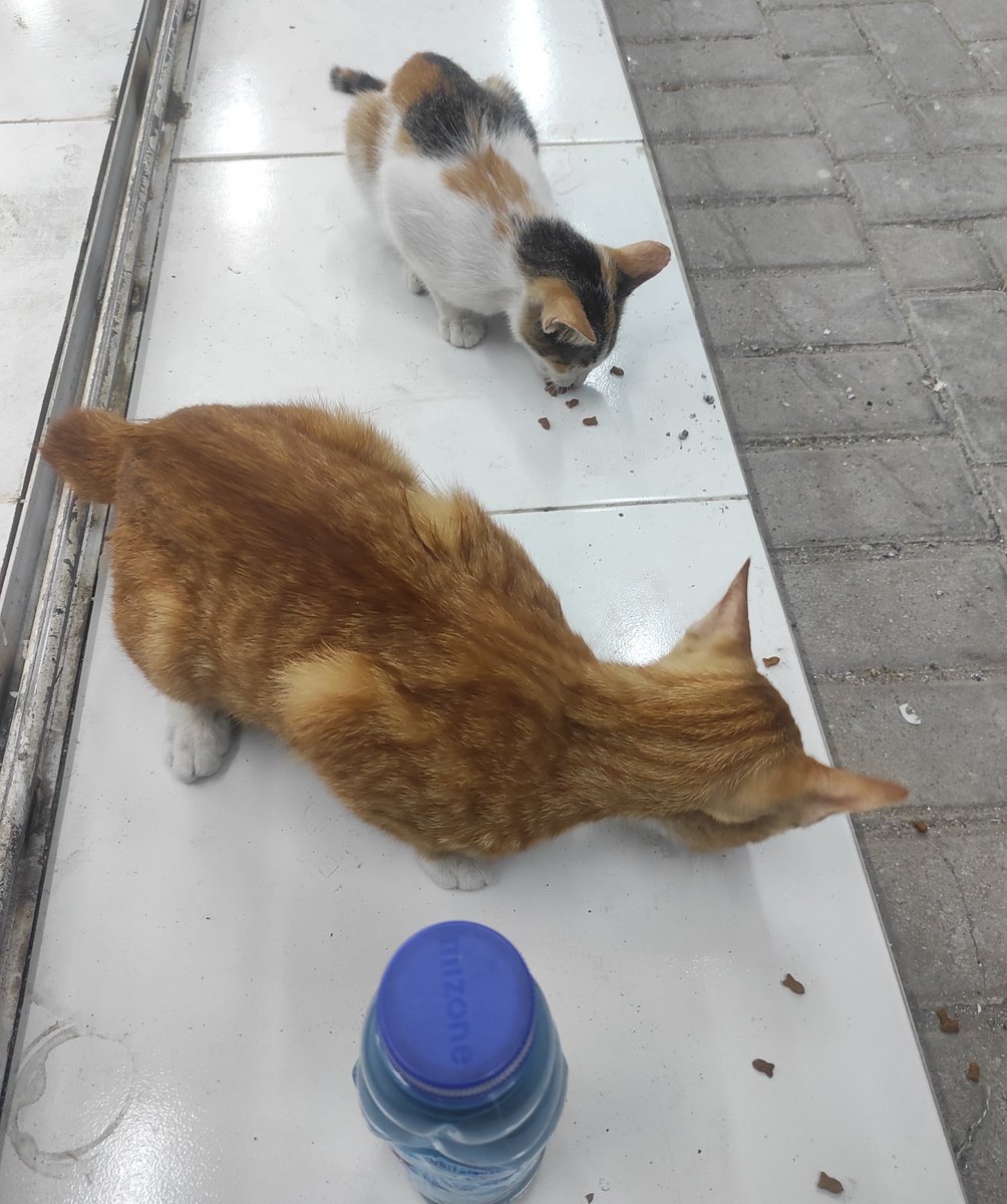 Hari hari dipalak preman