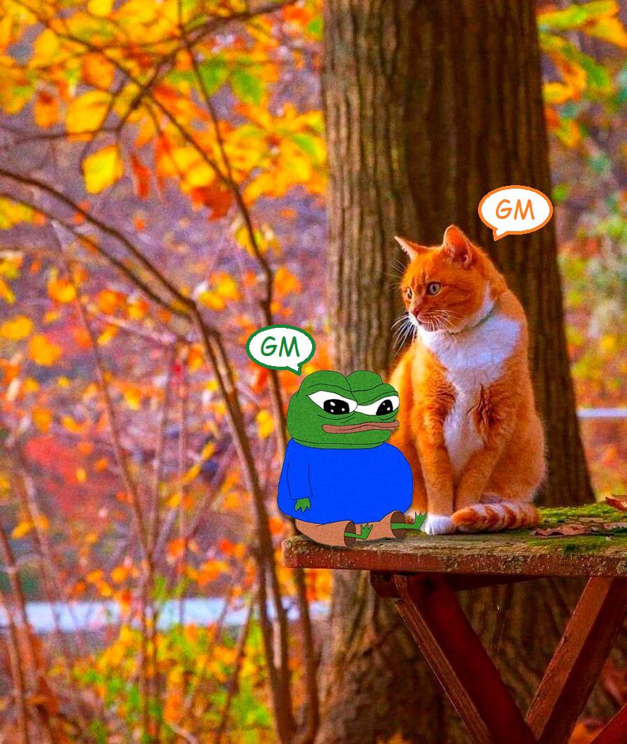 ice_jokess's tweet image. #cannabiscommunity
#cannabisculture
#ouid
#weedporn
#weedstagram
#cannabiscures
#cannabissociety
#cannabisheals
#hempmymedicine #cannabisphotography
#plantmedicine
#cannabislife
#hempheals
#cannabisoil
#fueledbyTHC
#cannabisdaily
#dailydabs#cannabisindustry
#successfulstoner