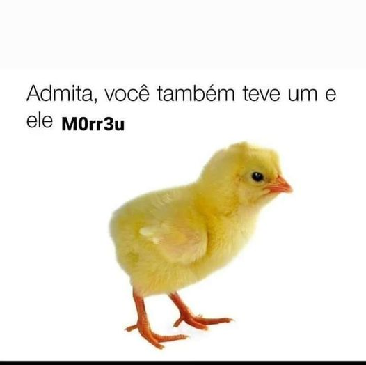 pontinisandra's tweet photo. Eu: Não https://t.co/50gfYll0Qd