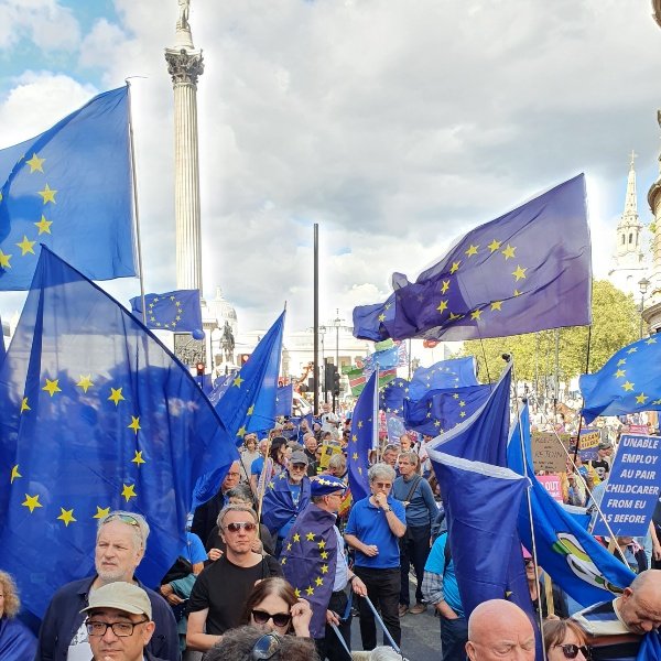 Grey Cells #FBPE tweet media