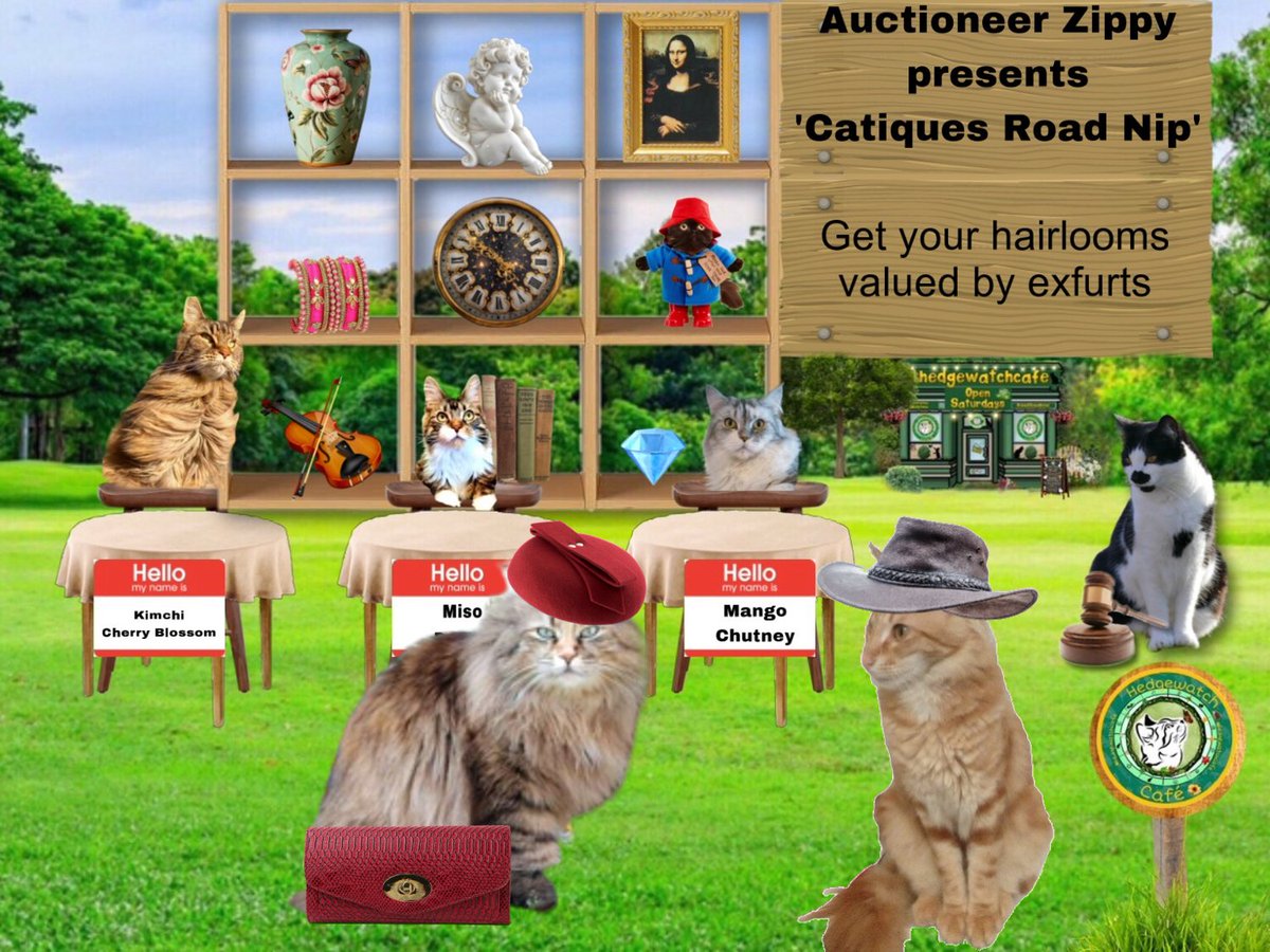 Prinzi82548537's tweet photo. @Hedgewatchers @BungandZip Hi everyone! Grandma and I are here!
Grandma said she doesn't want to sell it, but would like to know what this full functional antique weapon is worth? And I found this strange device I have no idea what it's for😬 #notracker
#hedgewatchcafe https://t.co/b1pRSoYNow