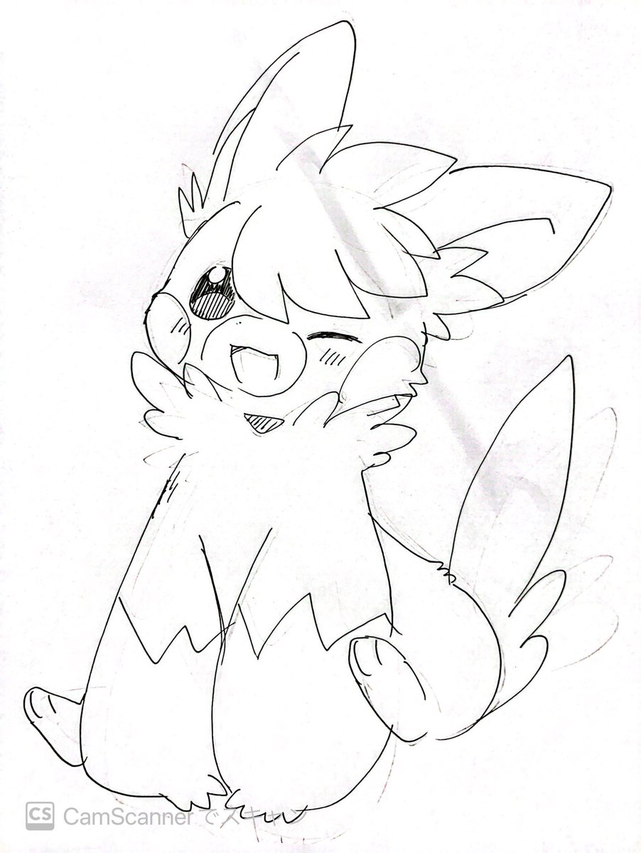 tarirarararun's tweet photo. パーモット描いたら裏が透けた…！！ https://t.co/BrrWlidWvR