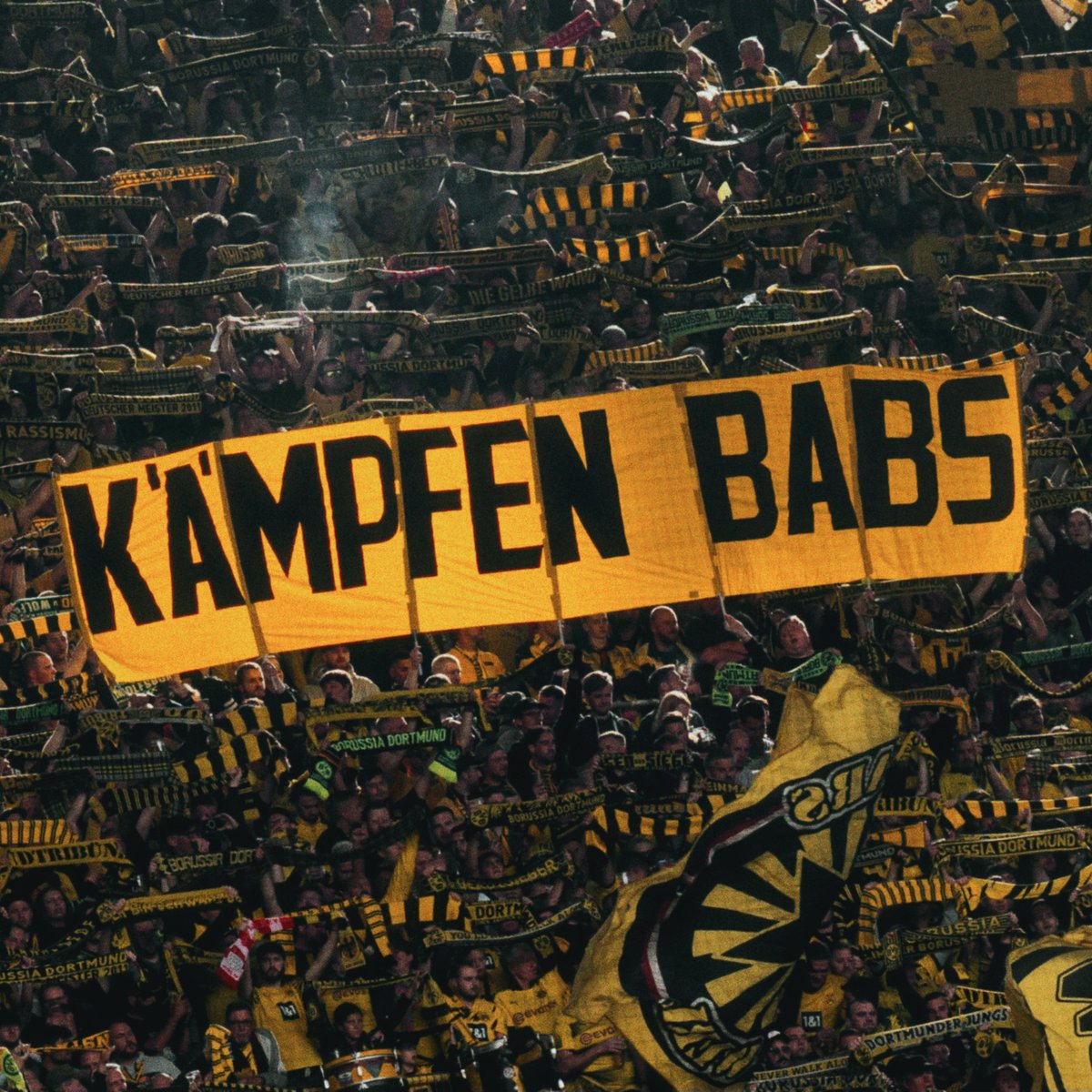Kämpfen, Babs! 🙏

Barbara (35) ist an Leukämie erkrankt. Ihr größter Wunsch ist es, wieder gesund zu werden und den BVB wie gewohnt von der Tribüne aus anzufeuern. 
Registriert Euch, werdet Stammzellenspender und rettet Leben! 🚨 <a href="/DKMS_de/">DKMS Deutschland</a> 

❗️HIER❗️▶️ dkms.de/aktiv-werden/o…