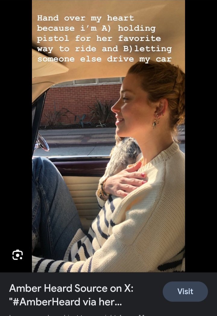 Amber Heard: Johnny is so abusive he held the dog out the window. 
Amber Heard fan account, 2019, repost from Instagram: 
This is my dog's favorite way to ride. 
 #AmberHeardIsToxic