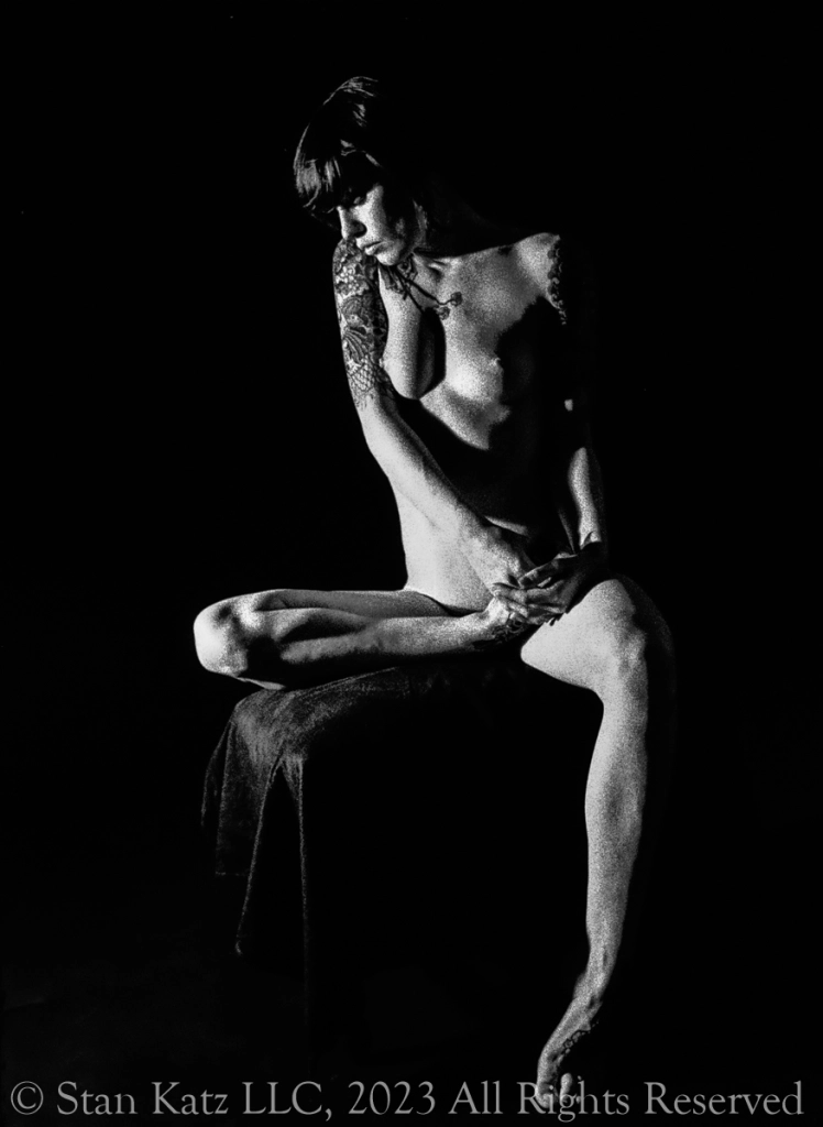 onefotoperday.wordpress.com
One Picture a Day…Day 3660 Nude
September 23, 2023
Most of the image here are for sale; contact me