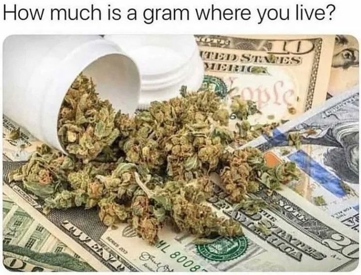 cannabishub's tweet photo. https://t.co/0yk7y4UXmD