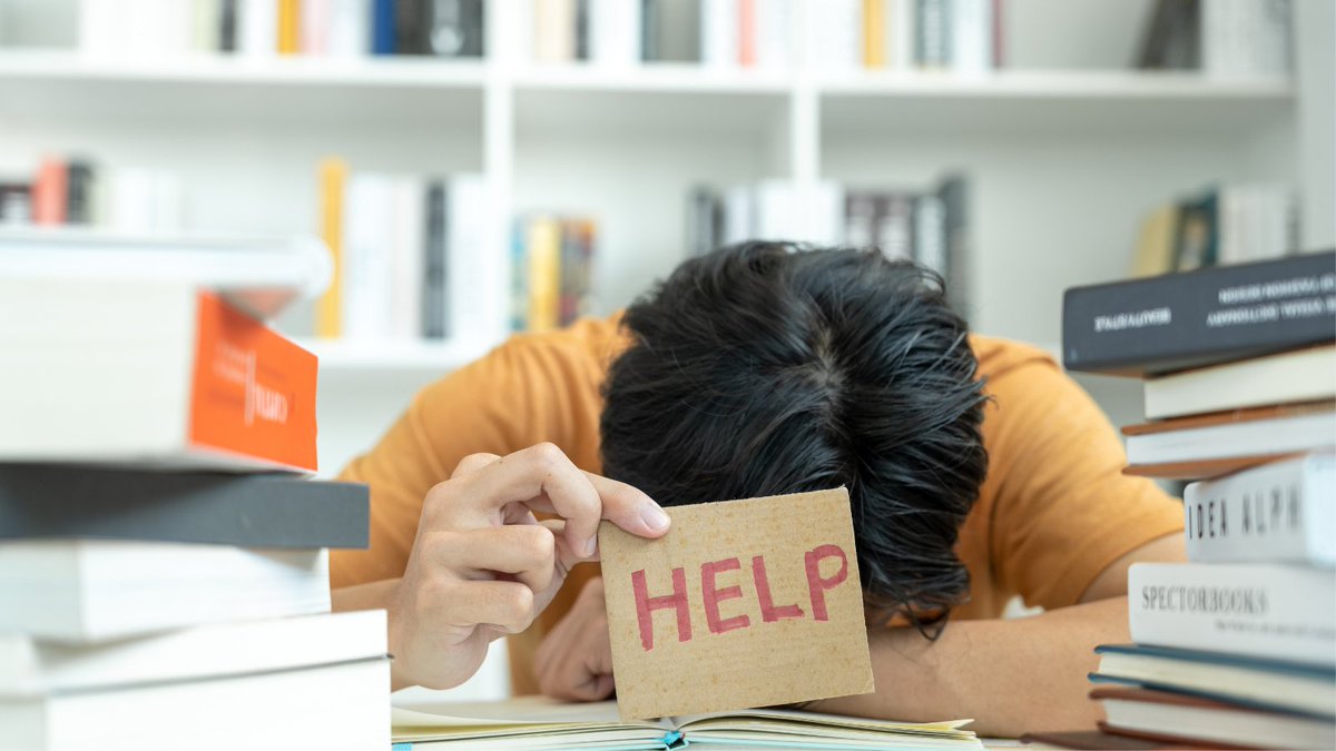 HomeworkOwl's tweet image. Get help with your online classes from expert tutors. #onlineclasshelp #onlineclasshelpers #domyonlineclass #college #homeworkhelper