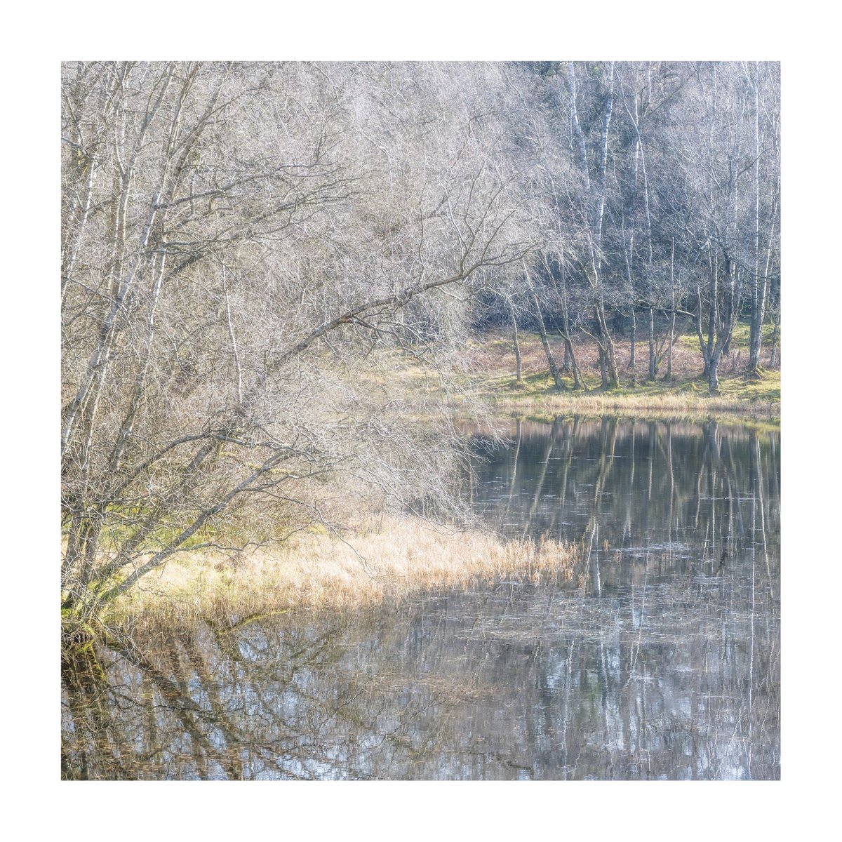 Whispering waters 

9 grid on the way to celebrate the changing of seasons. 

@nikoneurope @UKNikon #NikonUK #NikonZ7 @benrouk #nisiuk  @nisiglobal
#appicoftheweek #nikoneurope
#landscape #moody_nature
#photographer