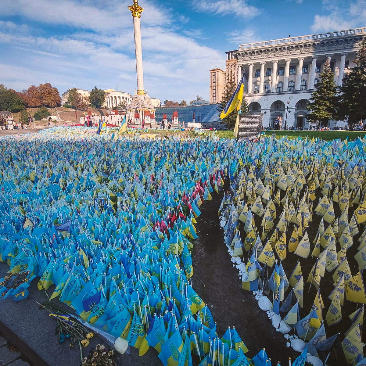 MariaSenovilla tweet media