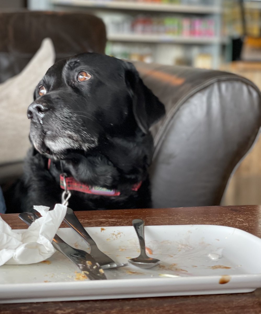 Are you sure they won’t let me lick the plates here? #CaféCulture #MannersMakethTheDog