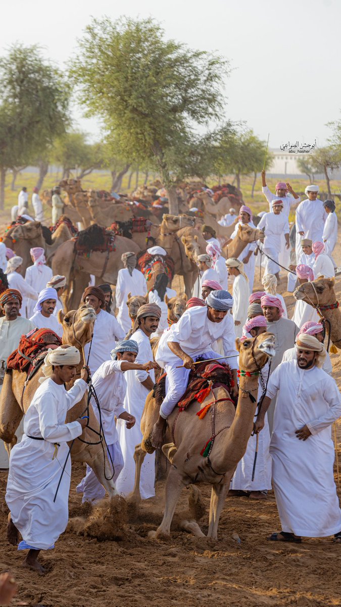 abuhasherr's tweet image. ركض عرضه 
#ولايه_الكامل_والوافي 
#الوافي
دعوه من #حافظ_الحكماني 
بعض من صور ركض 

#مساء_الخير