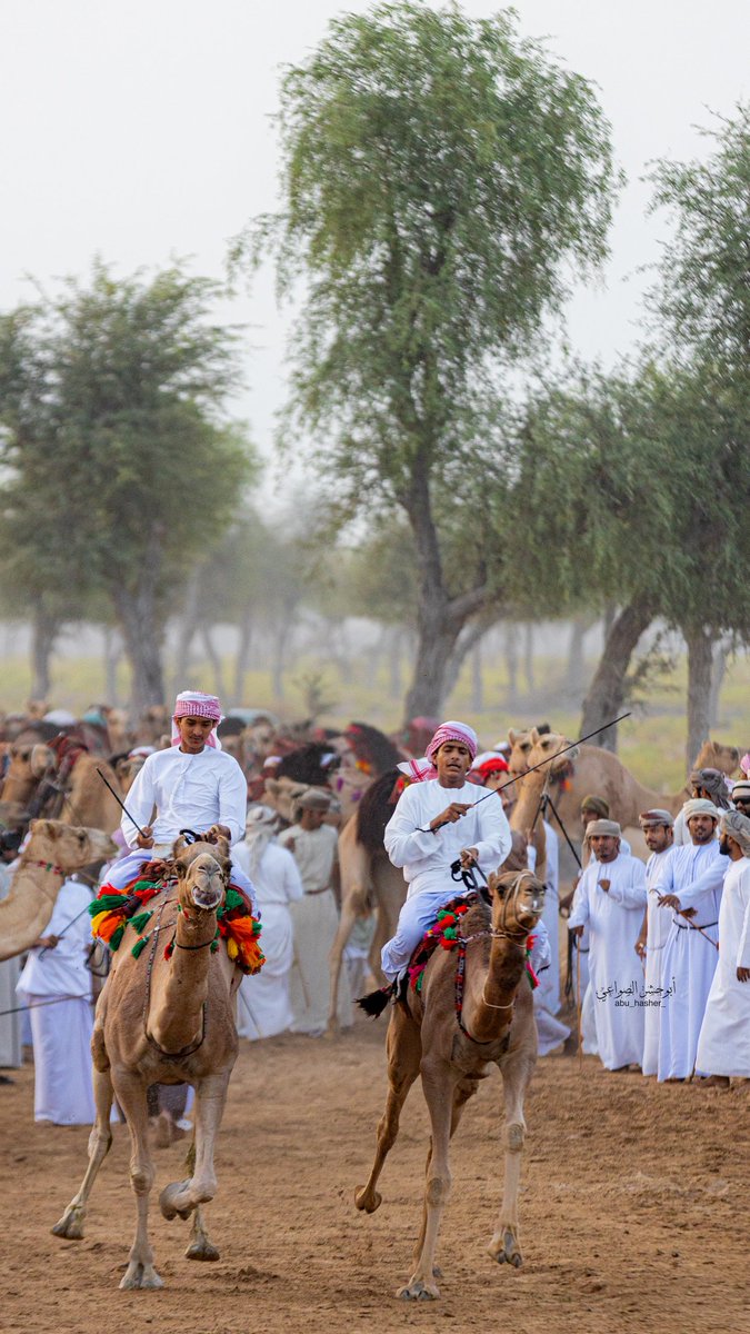 abuhasherr's tweet image. ركض عرضه 
#ولايه_الكامل_والوافي 
#الوافي
دعوه من #حافظ_الحكماني 
بعض من صور ركض 

#مساء_الخير