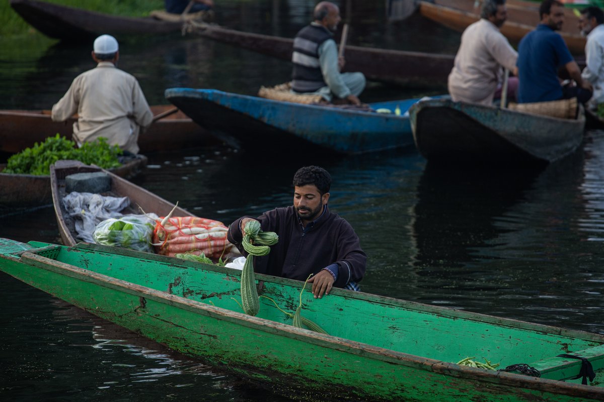 #vegetablemarket #floatingmarket #dallake #Kashmir #Srinagar  #interiordallake #vegetables