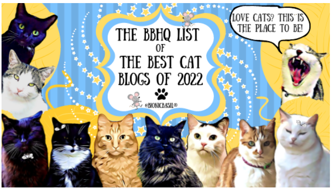 DashKitten's tweet image. Want to know the Best Cat Blogs around right MEOW?? Check this totally amazing list from @BionicBasil bit.ly/Best_Cat_Blogs #catblogs #blogginglife #bloggerific #catlovers #BestCatBlogs