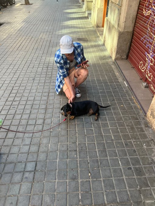 Popped over to Barcelona, made a friend https://t.co/SfF98cutb4
