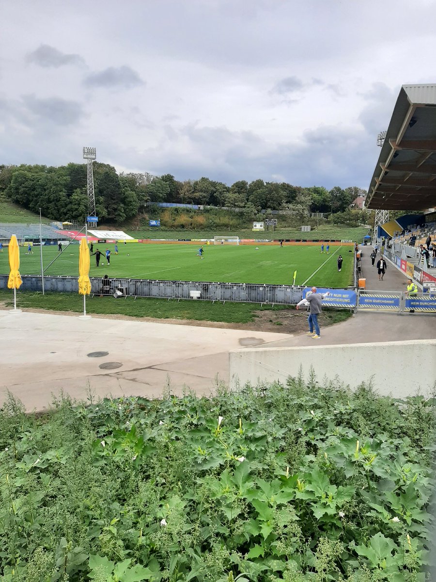 DavyRyanTipp's tweet photo. Pulsating nil all draw between ourselves and Dornbirn in the Austrian 2. Liga #FirstVienna #NeverAgain https://t.co/VOsHvpa703