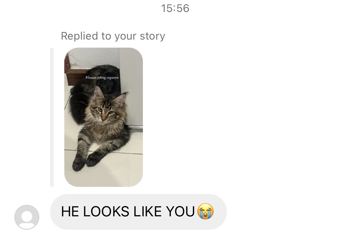 Qstnaadi's tweet image. kelakarlah 😭 kucen pun dah ikut muka tuan