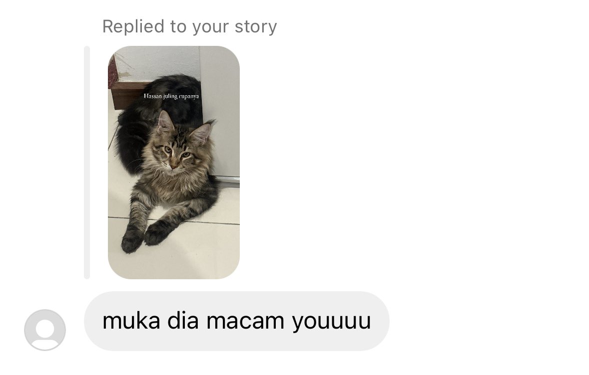 Qstnaadi's tweet image. kelakarlah 😭 kucen pun dah ikut muka tuan