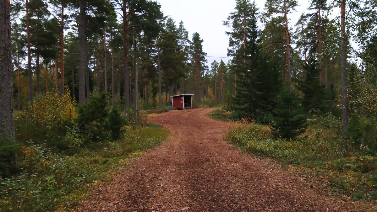 MikkoSipilae's tweet photo. Jälleen kerran #Merikarvia urheilukeskuksen pururata ansaitsee hehkutukset. Pururadat ovat Suomen mittakaavassa nykyään harvinaista herkkua. Mukava erityisesti polvi- ja jalkavaivaiselle. Vaihteleva kaunis rata, kallioisen metsän helmassa #juoksu https://t.co/xfh49KfMWd