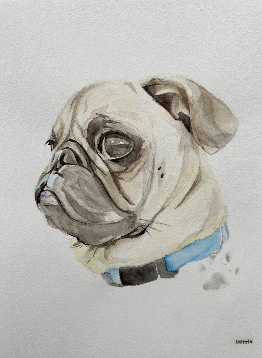 Kayo - 9x12 watercolor on coldpressed paper #valorant #pug #watercolor