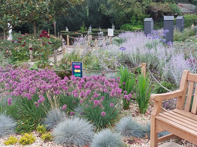 Take advantage of the #sussex sun this weekend and visit the fantastic ‘seascape’ planting @TatesGCs Paradise Park to complement their traditional fishing net huts #gardendesign #seaside #daysoutsussex #inspiration #planting #landscape #plants #gardeninspiration