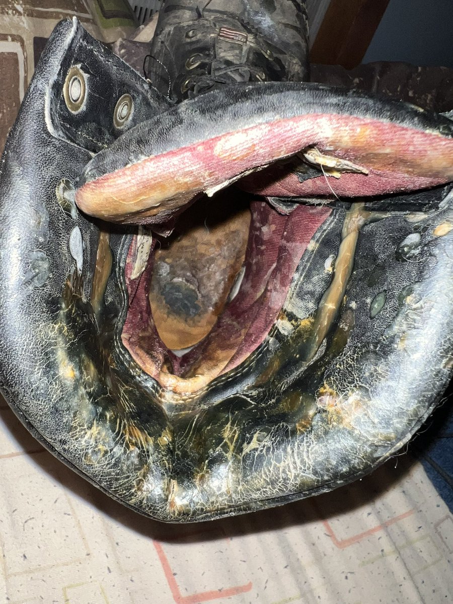 Loggerbootguy802 tweet media