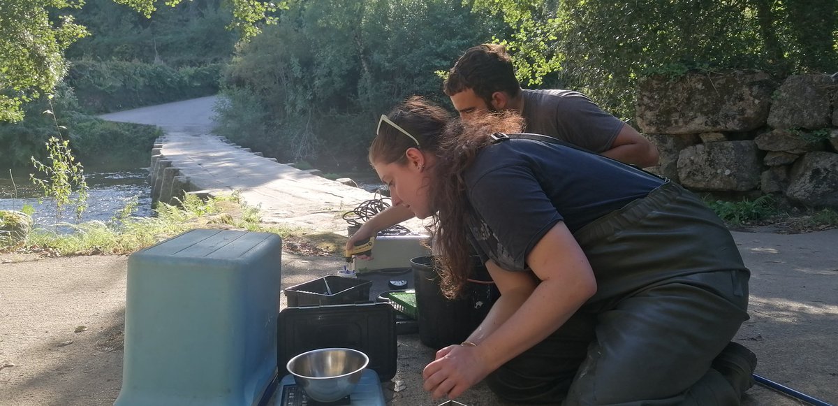 sarasrsilva11's tweet photo. SALMONLINK Sampling Season 2023. This year with the special collaboration of @madsgberry, from @SEG_GBG. It was such a good time at the field 😊 See more details about this work: 
https://t.co/7sgeY564mP
#Salmonlink #Salmonlink_project 
@univdeevora
@MARE_centre
 @NASCO_Sec https://t.co/DTYLZhPN4B