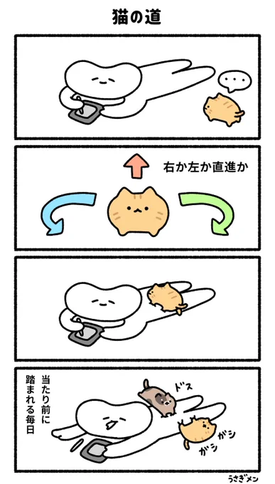 猫の道 