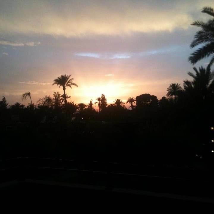 carolemorinsoho's tweet photo. “Africa. You must go to Africa. You will fall in love with Africa.” Graham Greene was right. Shame I had all my dresses stolen on way to Aga Khan’s party. Didn’t even buy me a racehorse. #love #africa #home #wanttogohome https://t.co/dpSwFDo6TE