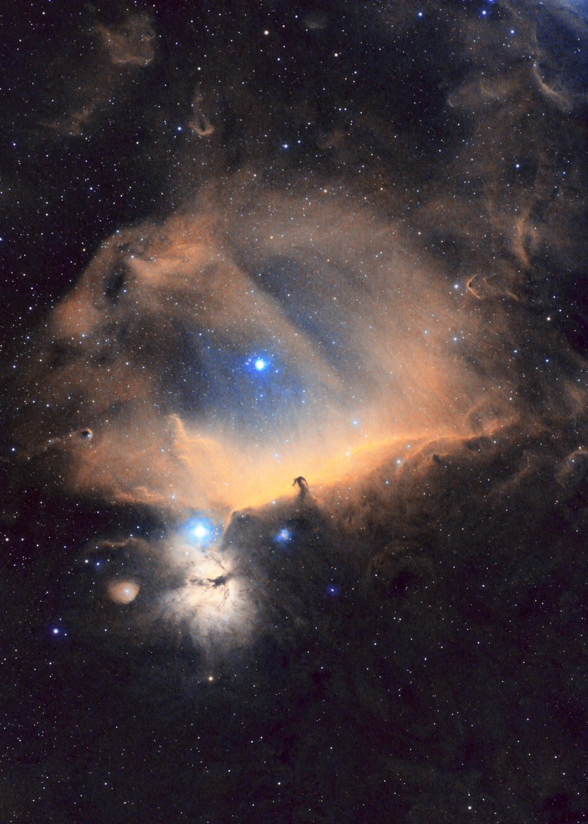 SLFJTweets's tweet photo. Horsehead Nebula 

Williams optics SpaceCat 51
ZWO ASI1600mm
Skywatcher EQ6-r
ZWO ASI290mm mini OAG guide scope
Deepskydad Autofocuser

SHO - 300s x 120

Processed in Pixinsight finished in Lightroom 

Starless version also shown https://t.co/QjqsP6VvLK