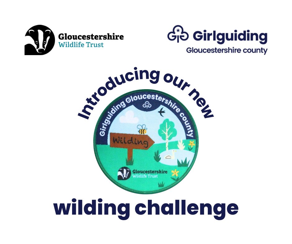 Girlguiding Gloucestershire (@girlguidingglos) on Twitter photo We’ve partnered with <a href="/gloswildlife/">@Gloucestershire Wildlife Trust</a> to create a ‘wilding challenge’ for members to learn more about the nature around them and have a go at wilding their spaces 💚
We can’t wait to see everyone getting stuck in to some wilding!
girlguidingglos.org.uk/store/p194/Wil… We’ve partnered with <a href="/gloswildlife/">@Gloucestershire Wildlife Trust</a> to create a ‘wilding challenge’ for members to learn more about the nature around them and have a go at wilding their spaces 💚
We can’t wait to see everyone getting stuck in to some wilding!
girlguidingglos.org.uk/store/p194/Wil…