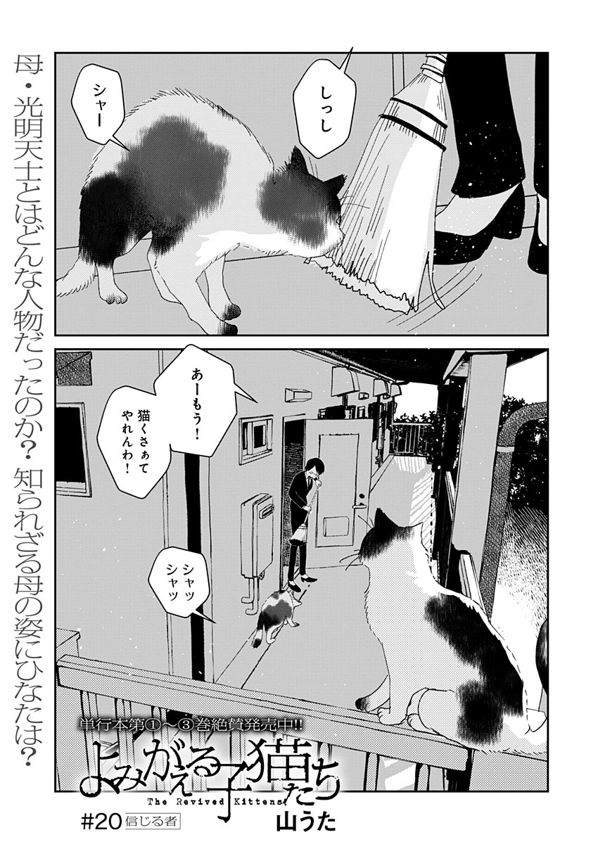 #よみがえる子猫たち
▼最新話公開されました!
https://t.co/G9bQRvqmRs

▼第一話全ページ読めます! 
https://t.co/jkhgLbyk3d

▼単行本発売中!
3巻 https://t.co/iu71JC0vca
2巻 https://t.co/jCIprLiJfp
1巻 https://t.co/fuzS5X8Ety

▼特設サイト 
https://t.co/g86MwrdSCR 