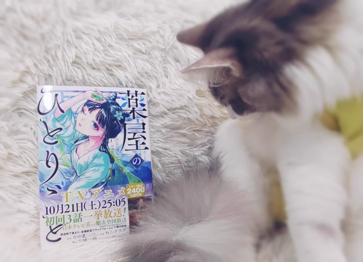 ねこクラゲ✽薬屋⑰発売中 on X: 
