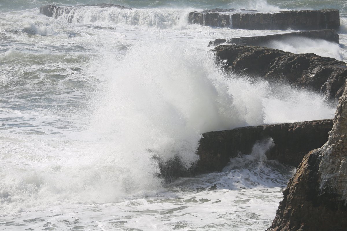 abhiyogi's tweet image. #vsspoem
There, under that #clouded sky, I found solace in his presence. No need for grand gestures or elaborate promises; his love was felt in his eyes and the simple, quiet spaces between our heartbeats.