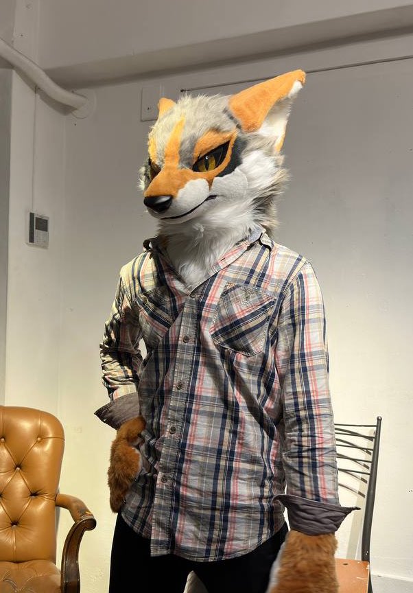 Hobo_YoTe21215's tweet photo. First public fursuiting at @asakusa_wolf 
はじめて外で獣化！

suit by: @Doggy_Studio 
Photo by: @theflintwolf https://t.co/vc12kwH6IE