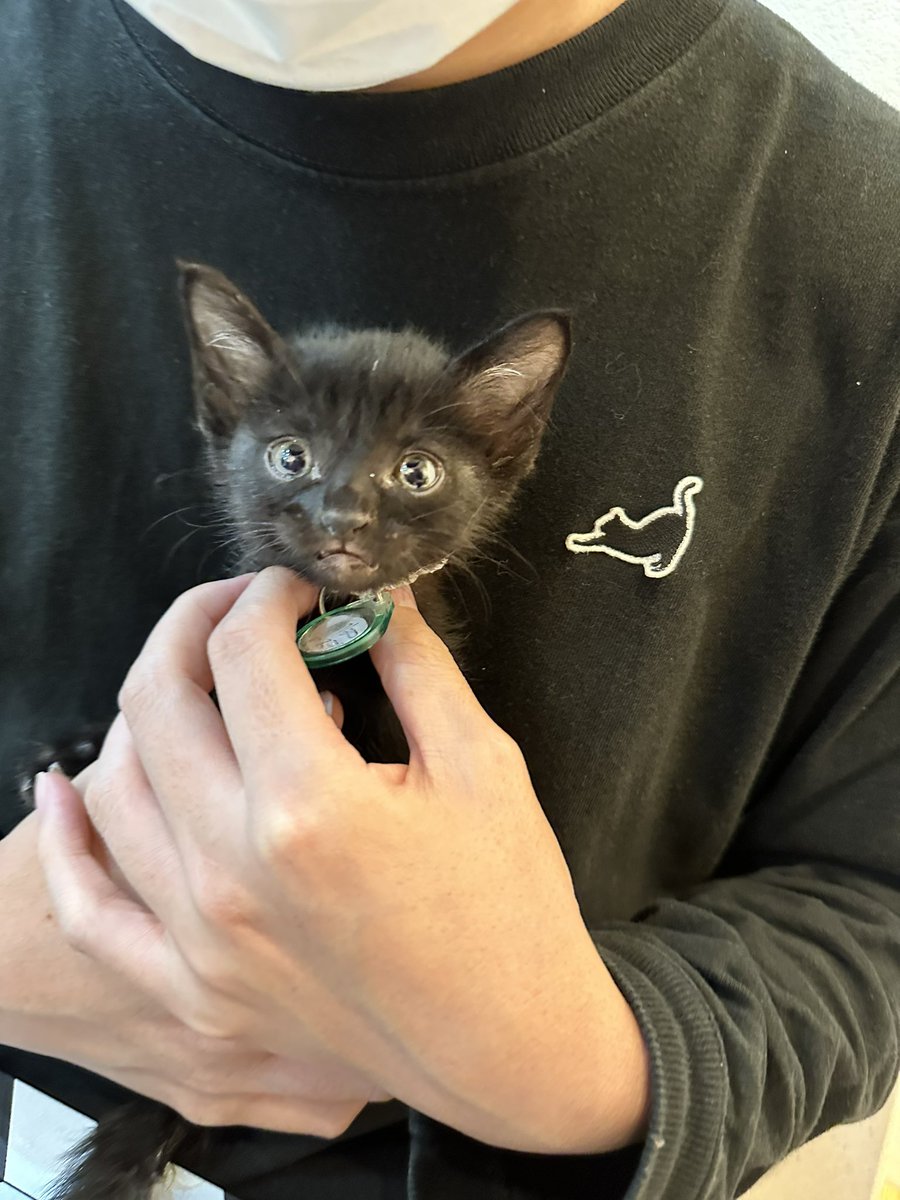 🍉中川翔子🍉🐈‍⬛ on X