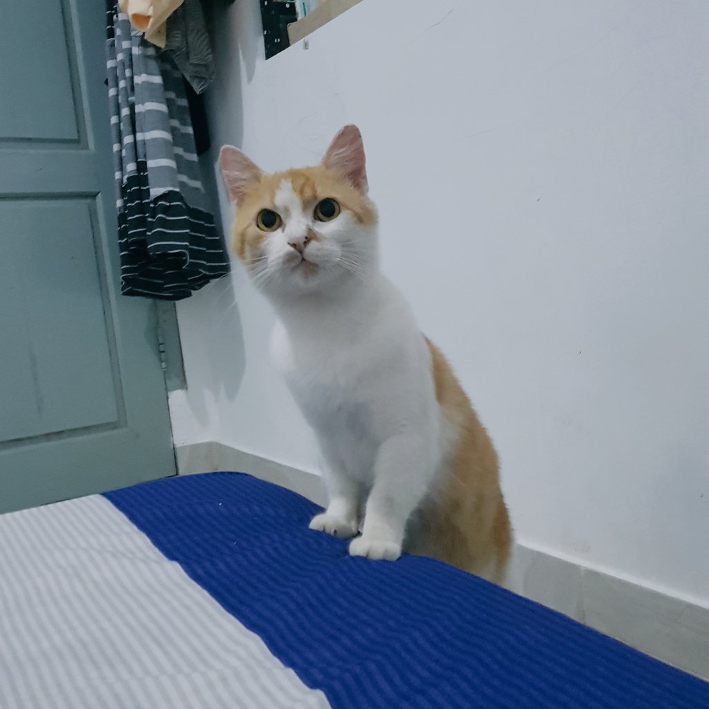 cakweeeee's tweet photo. Abang hari ini 'kecelakaan' karena kurang ati².. https://t.co/zWygemhbIK