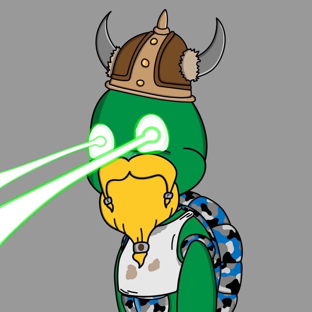 KirkMontana6's tweet image. #TurtleStrong