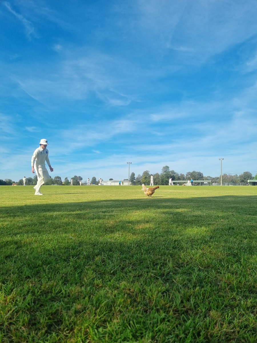 Nicholas Brian tweet media