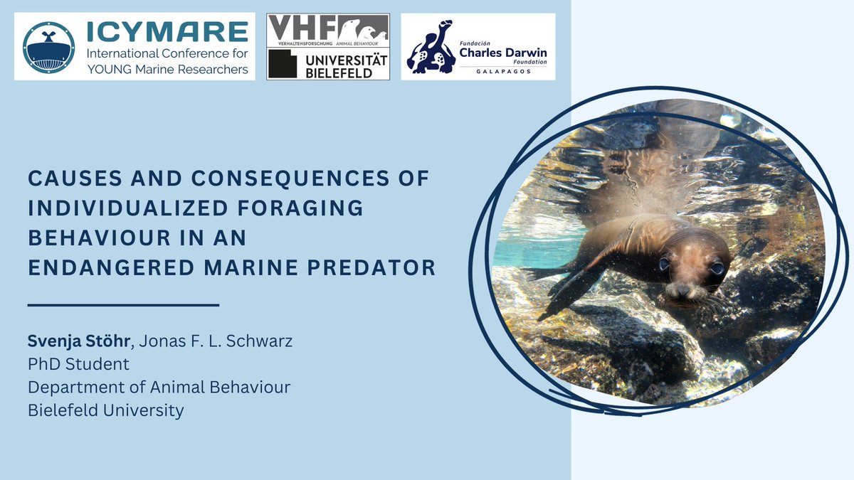 Svenja Stoehr tweet media