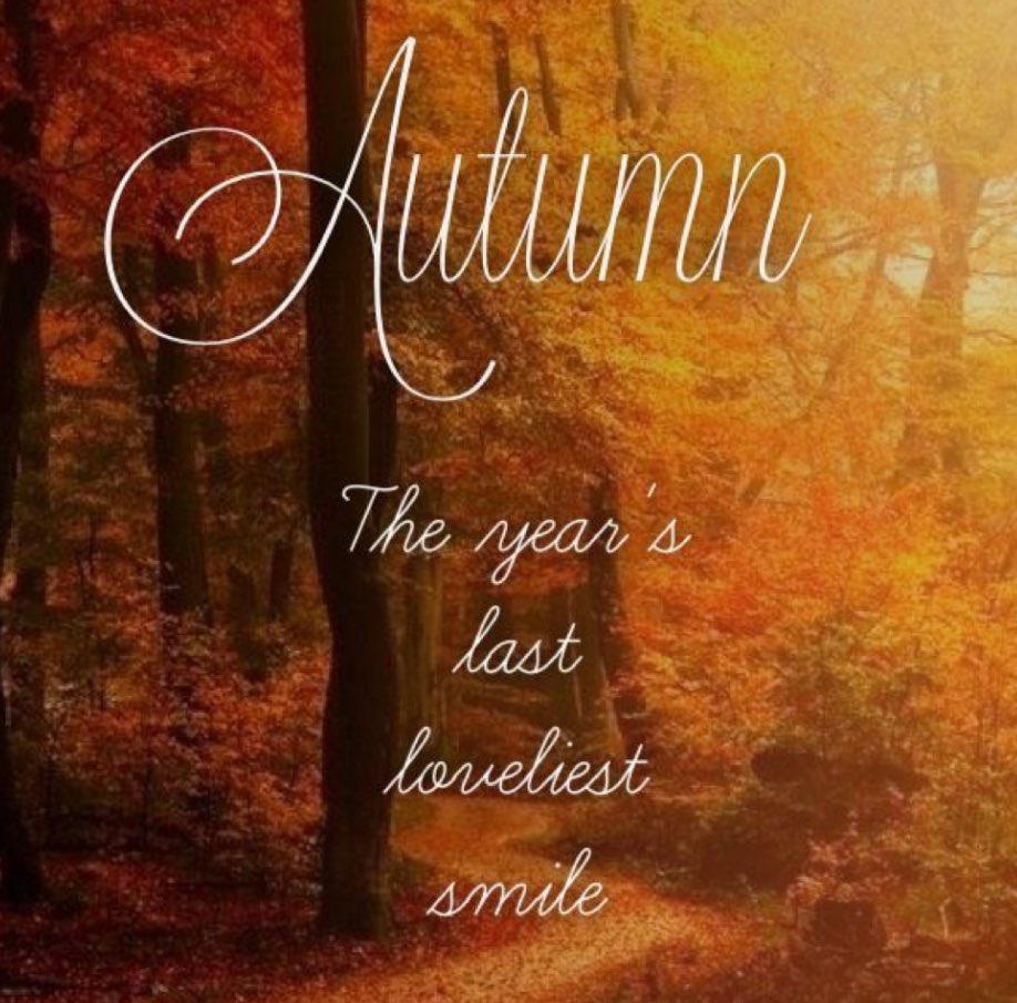 Good morning twitterverse & Beatlesverse 🍂 happy first day of Autumn #FallEquinox