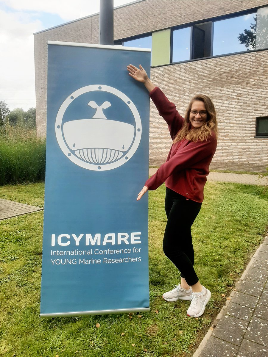 Svenja Stoehr tweet media