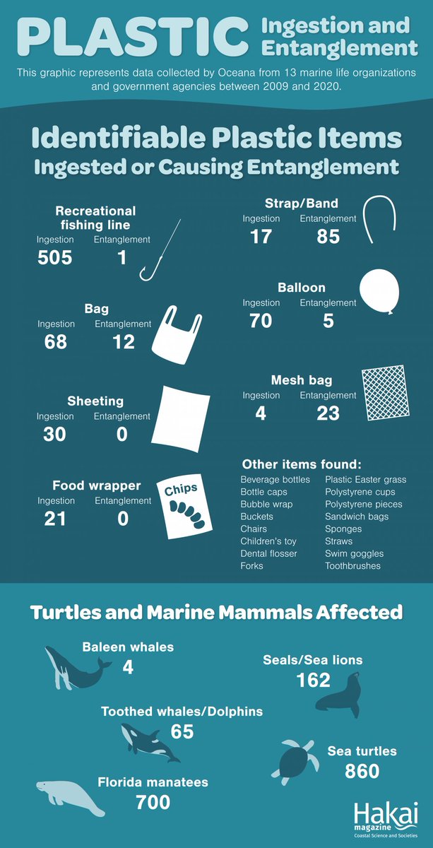 UN Biodiversity (@unbiodiversity) on Twitter photo 🌊 Plastic pollution is a menace to marine life! Take a look at this powerful infographic showcasing its impact on our oceans' inhabitants. 🐢🌊 Let's reduce, reuse, and recycle to protect these precious creatures and their habitats. 🌏💙
Via <a href="/hakaimagazine/">Hakai Magazine</a> 🌊 Plastic pollution is a menace to marine life! Take a look at this powerful infographic showcasing its impact on our oceans' inhabitants. 🐢🌊 Let's reduce, reuse, and recycle to protect these precious creatures and their habitats. 🌏💙
Via <a href="/hakaimagazine/">Hakai Magazine</a>