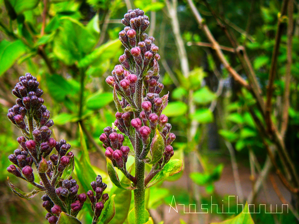 Long time no see 😊